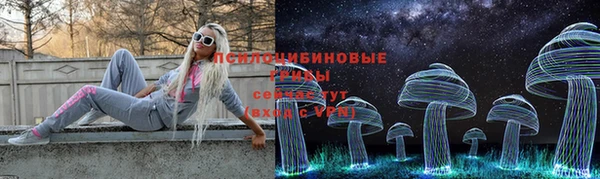 прущая мука Осташков