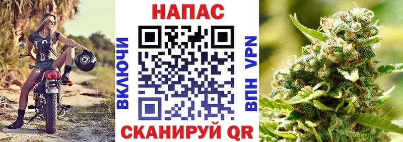 Каннабис гибрид  Биробиджан 